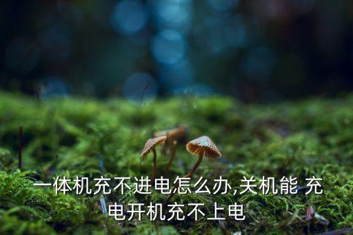  一體機(jī)充不進(jìn)電怎么辦,關(guān)機(jī)能 充電開機(jī)充不上電