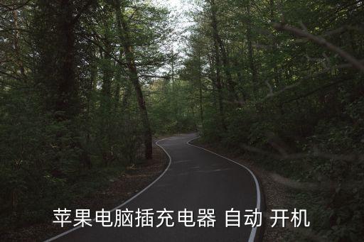 蘋(píng)果電腦插充電器 自動(dòng) 開(kāi)機(jī)
