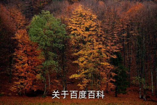 超級全能系統(tǒng)百度百科，關(guān)于百度百科