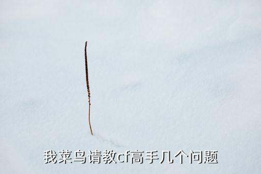 我菜鳥請教cf高手幾個問題