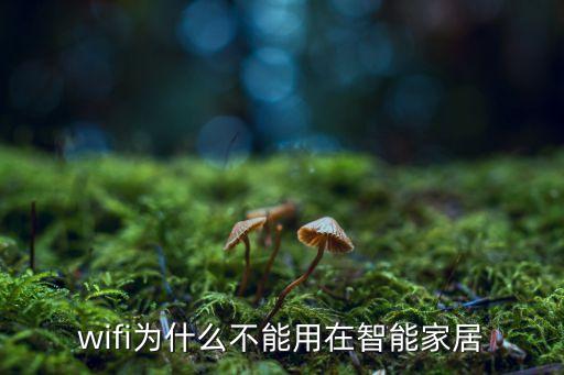 為什么PLC不用于智能家居，PLC技術為什么是未來智能家居主流