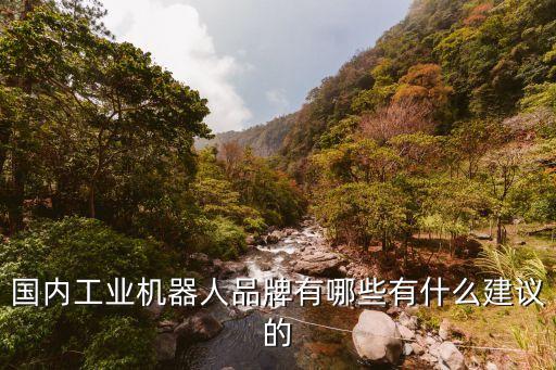中國(guó)十大工業(yè)機(jī)器人公司，中國(guó)工業(yè)機(jī)器人企業(yè)規(guī)模排名