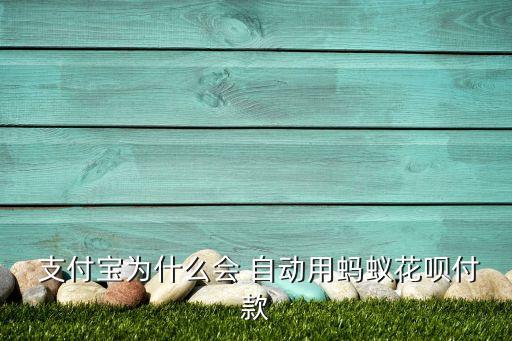 支付寶自動用花唄嗎,支付寶不貼卡大使用流程如何?