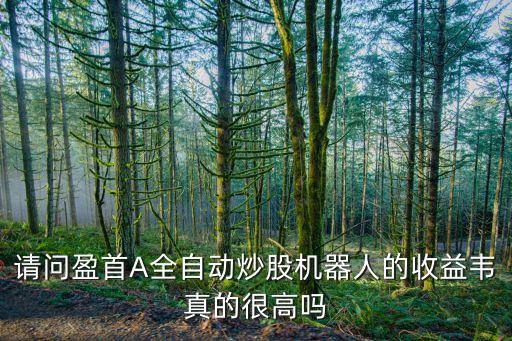 請(qǐng)問(wèn)盈首A全自動(dòng)炒股機(jī)器人的收益韋真的很高嗎