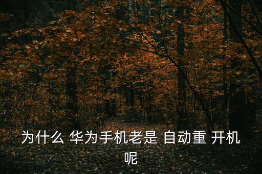 華為自動(dòng)開(kāi)機(jī),手機(jī)充電時(shí)自動(dòng)關(guān)機(jī)或更換電池防遺漏重要信息