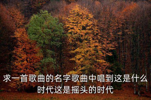 這個(gè)瘋狂的時(shí)代，歌詞是 這是個(gè)什么時(shí)代這是個(gè)瘋狂的時(shí)代那是什么歌