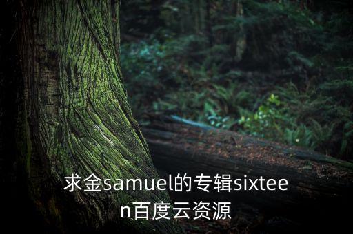 求金samuel的專輯sixteen百度云資源