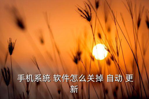  手機系統(tǒng) 軟件怎么關(guān)掉 自動 更新