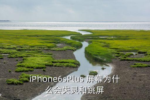 iphone6s屏幕自動觸屏,蘋果手機應(yīng)用程序如何進行?
