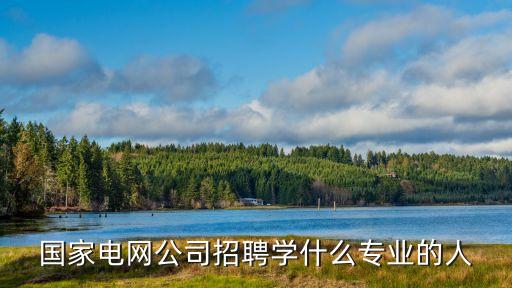 國家電網(wǎng)公司招聘學(xué)什么專業(yè)的人