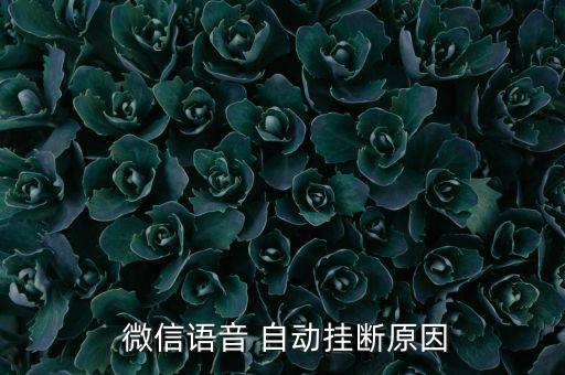 微信電話本6小時自動斷,微信半夜自動掛電話怎么回事?
