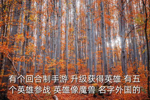 有個回合制手游 升級獲得英雄 有五個英雄參戰(zhàn) 英雄像魔獸 名字外國的