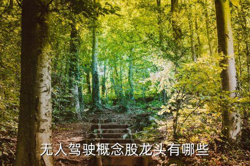 無人駕駛概念股龍頭有哪些