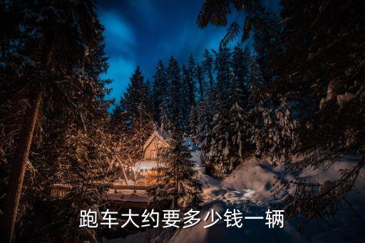 黑帥智能跑車一輛多少錢，跑車大約要多少錢一輛
