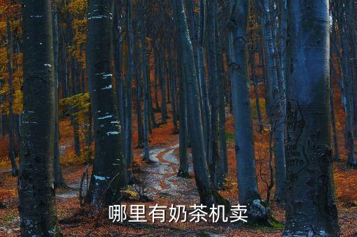哪里有奶茶機(jī)賣