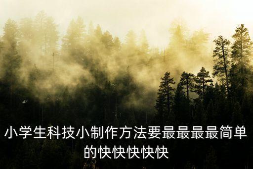 小學(xué)生科技小制作方法要最最最最簡(jiǎn)單的快快快快快