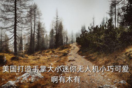 美國(guó)打造手掌大小迷你無(wú)人機(jī)小巧可愛(ài)啊有木有