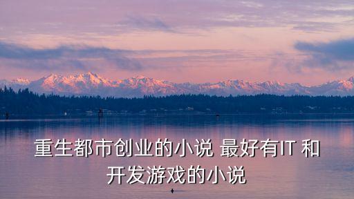 重生都市創(chuàng)業(yè)的小說 最好有IT 和開發(fā)游戲的小說