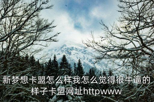新夢想卡盟怎么樣我怎么覺得很牛逼的樣子卡盟網(wǎng)址httpwww