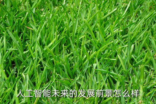 人工智能未來(lái)的發(fā)展前景怎么樣