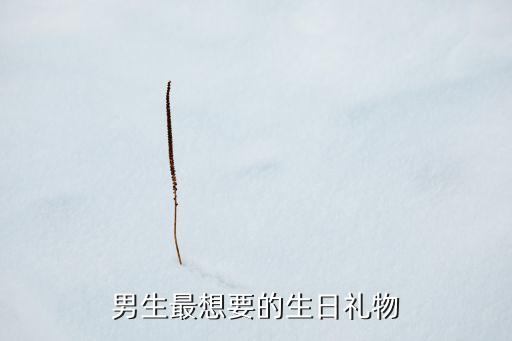 男生最想要的生日禮物