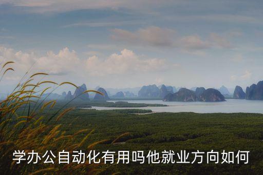 學(xué)辦公自動化有用嗎他就業(yè)方向如何