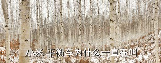 小米平衡車(chē)自動(dòng)轉(zhuǎn)圈,平衡車(chē)沒(méi)電了怎么辦?