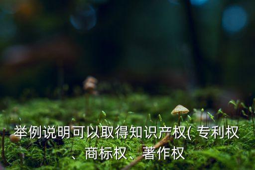 專利權(quán)是可以自動(dòng)取得的,專利權(quán)的收購(gòu)必須經(jīng)過(guò)申請(qǐng)和法律審批