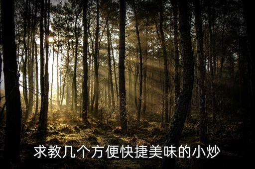 求教幾個方便快捷美味的小炒
