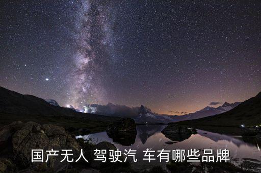 自動(dòng)駕駛車(chē)有哪些牌子好,自動(dòng)駕駛汽車(chē)三款車(chē)型介紹如下