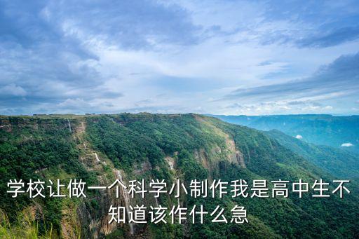 學(xué)校讓做一個(gè)科學(xué)小制作我是高中生不知道該作什么急