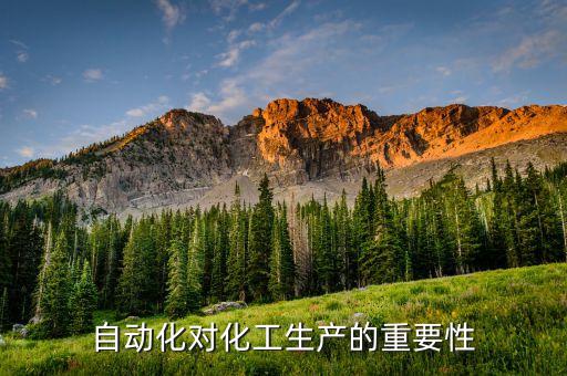 自動(dòng)化對(duì)化工生產(chǎn)的重要性