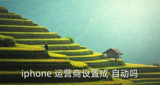 iphone 運營商設(shè)置成 自動嗎