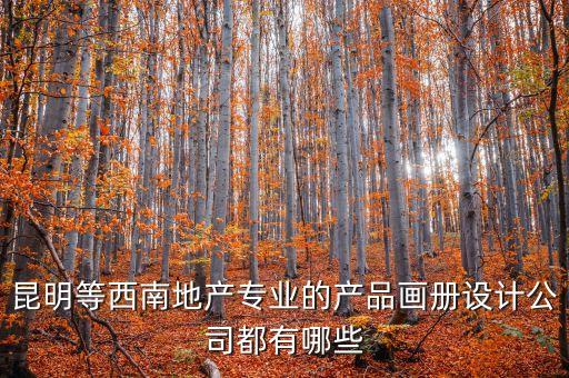 產(chǎn)品設(shè)計公司，產(chǎn)品設(shè)計公司