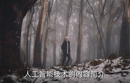 人工智能技術(shù)的內(nèi)容簡介
