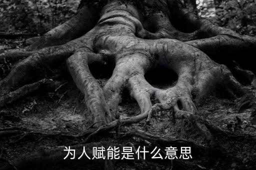 為人賦能是什么意思