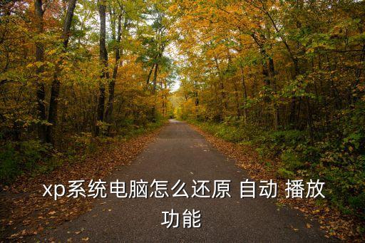 xp 打開(kāi) 自動(dòng)播放,如何使用gpedit.msc