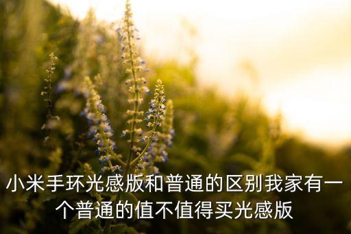 小米手環(huán)光感版和普通的區(qū)別我家有一個普通的值不值得買光感版