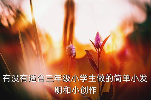 有沒有適合三年級小學生做的簡單小發(fā)明和小創(chuàng)作