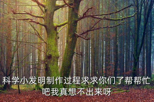 科學(xué)小發(fā)明制作過程求求你們了幫幫忙吧我真想不出來呀