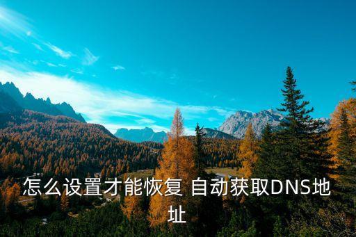 怎么設(shè)置才能恢復(fù) 自動(dòng)獲取DNS地址