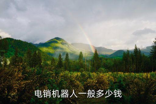 電銷機(jī)器人一般多少錢