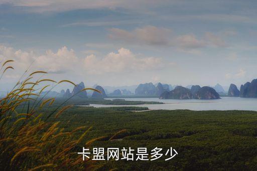 卡盟網站是多少