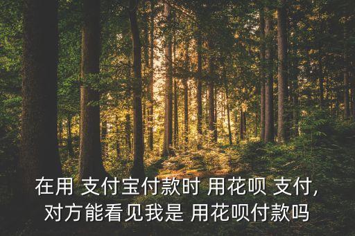 在用 支付寶付款時 用花唄 支付,對方能看見我是 用花唄付款嗎