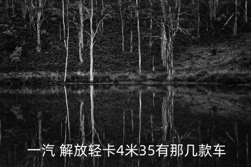  一汽 解放輕卡4米35有那幾款車