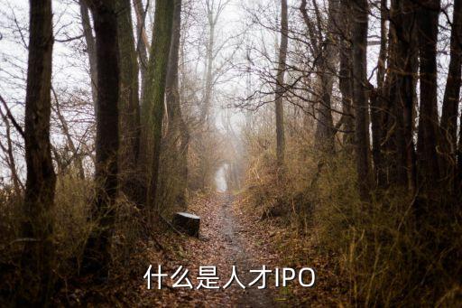 什么是人才IPO