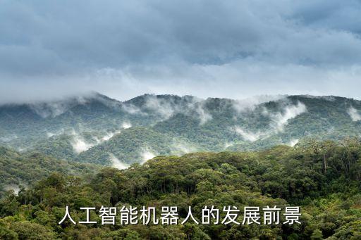 人工智能機(jī)器人的發(fā)展前景