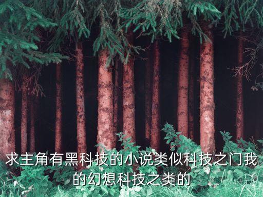 求主角有黑科技的小說(shuō)類似科技之門(mén)我的幻想科技之類的
