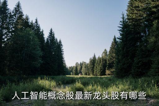 人工智能概念股最新龍頭股有哪些