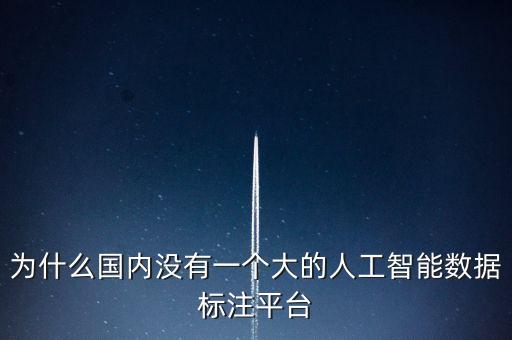 為什么國(guó)內(nèi)沒有一個(gè)大的人工智能數(shù)據(jù)標(biāo)注平臺(tái)